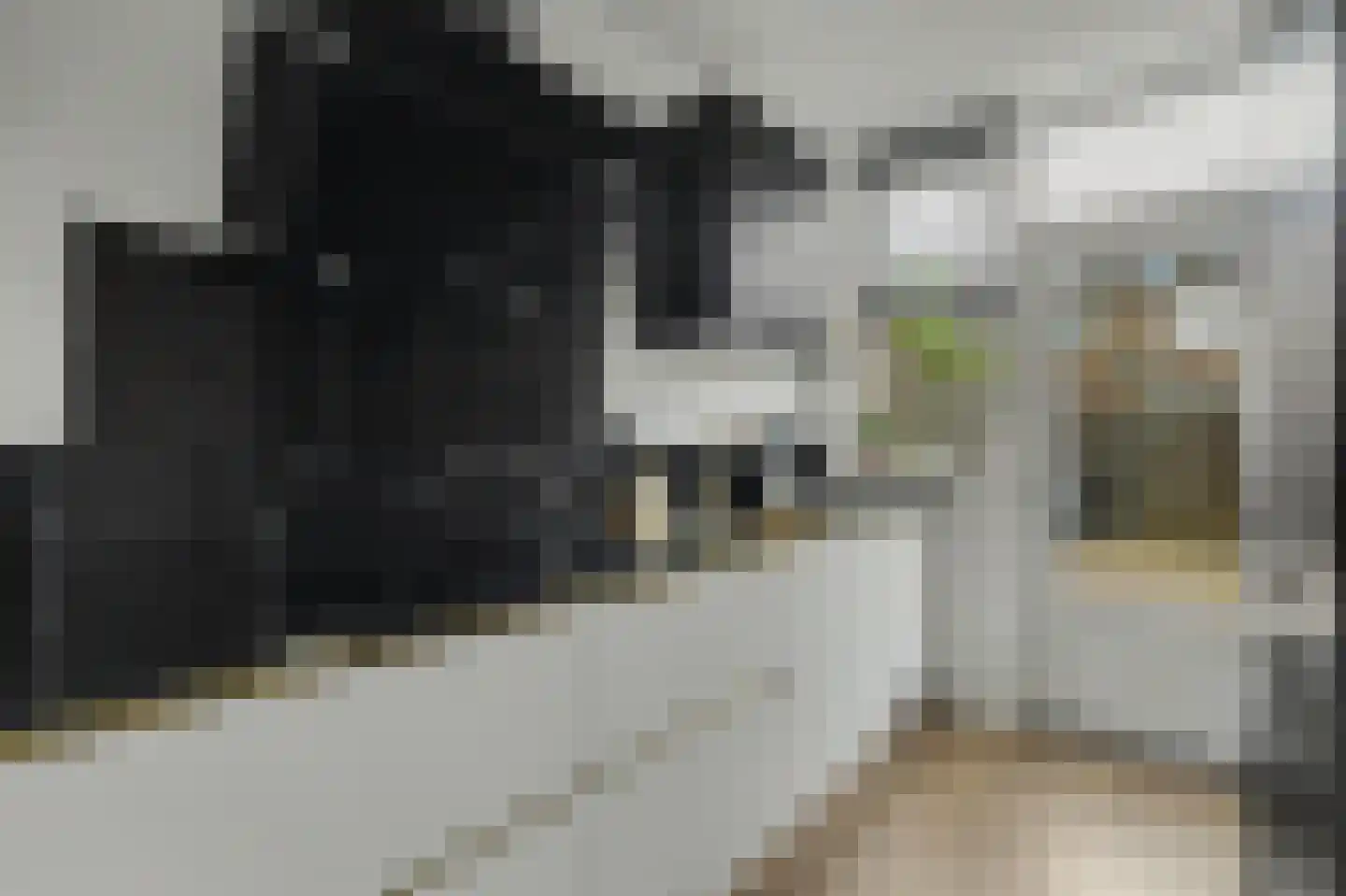 Hugo de Grootstraat 51 Kruiningen thumbnail 14