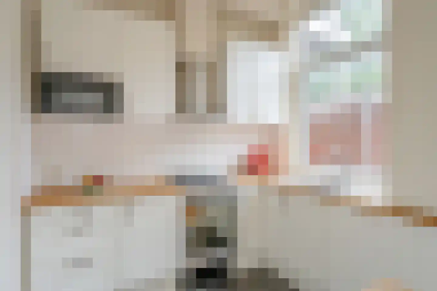 Hugo de Grootstraat 54 Den Haag thumbnail 11
