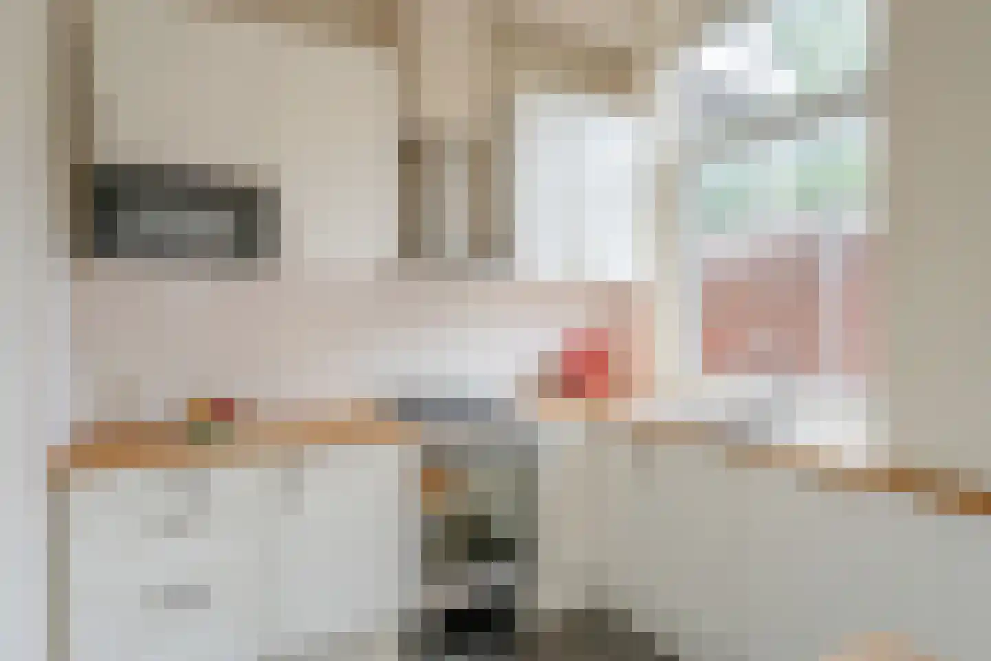 Hugo de Grootstraat 54 Den Haag thumbnail 11