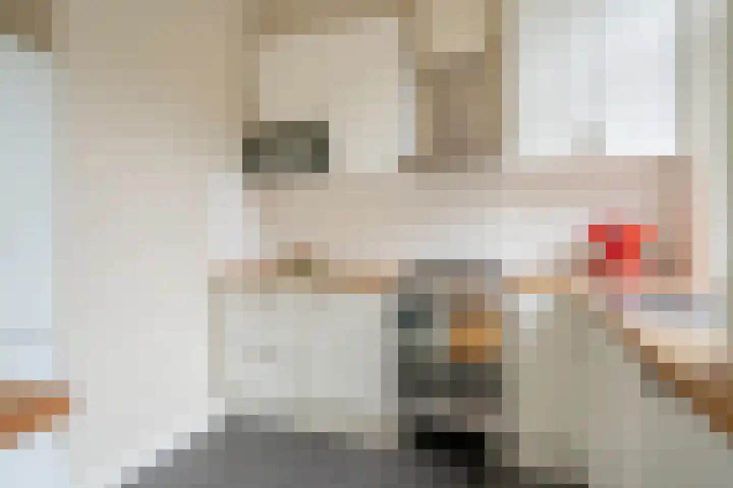 Hugo de Grootstraat 54 Den Haag thumbnail 12