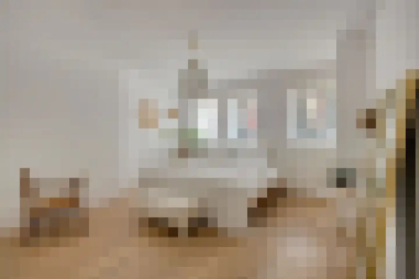 Hugo de Grootstraat 57 Leiden thumbnail 11