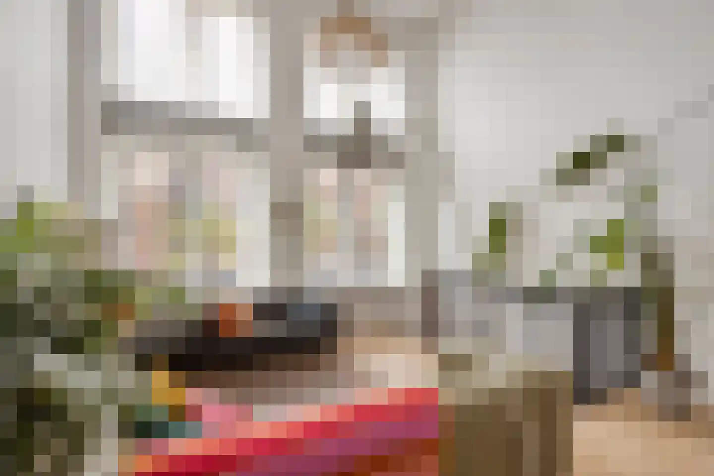Hugo de Grootstraat 57 Leiden thumbnail 20