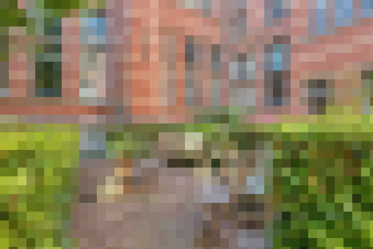 Hugo de Grootstraat 57 Leiden thumbnail 35