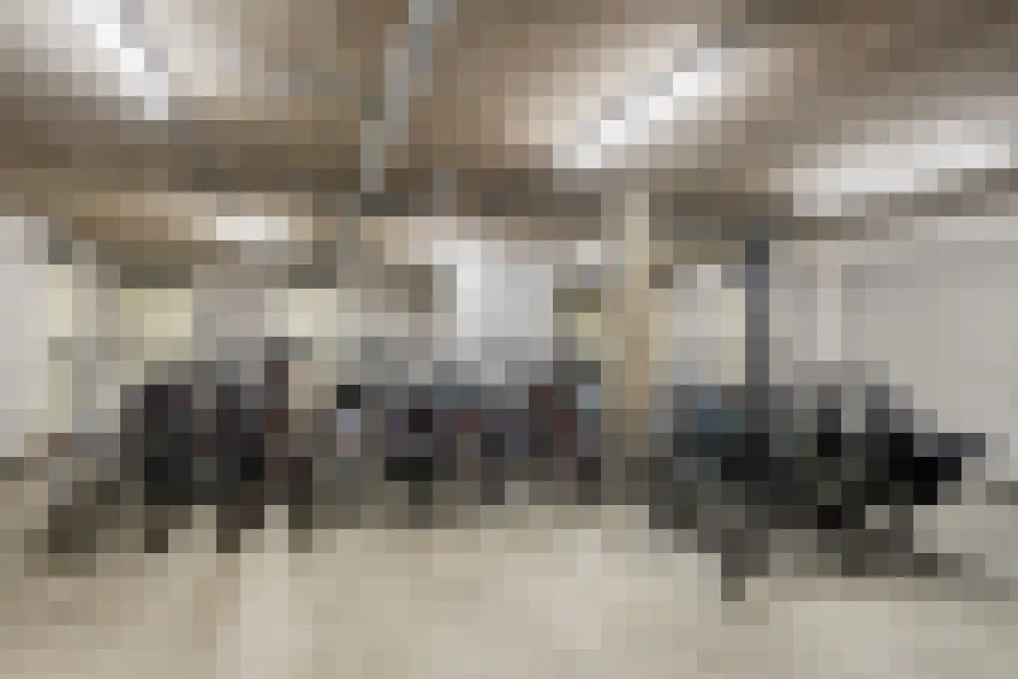 Hugo de Grootstraat 57 Leiden thumbnail 43
