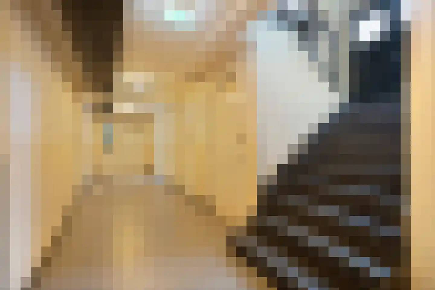 Hugo de Grootstraat 57 Leiden thumbnail 7