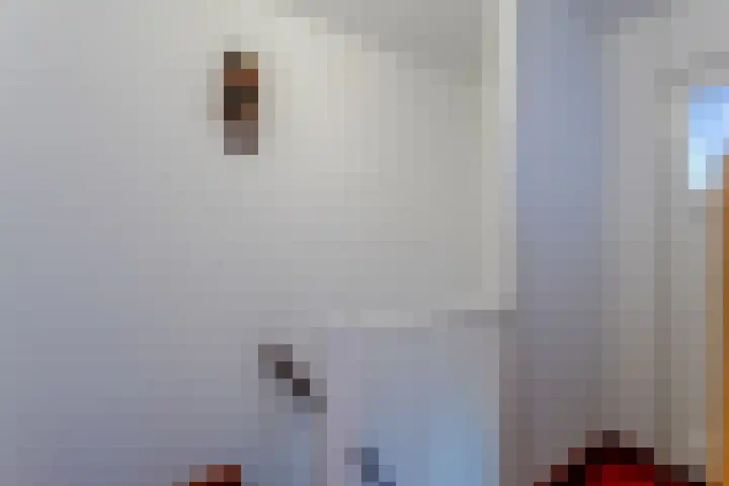 Hugo de Grootstraat 6 Purmerend thumbnail 20