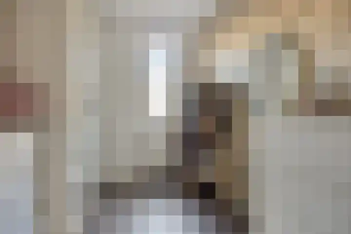 Hugo de Grootstraat 6 Vlaardingen thumbnail 15