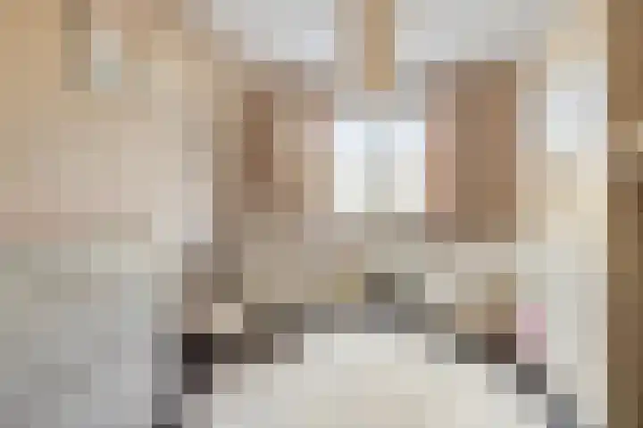 Hugo de Grootstraat 6 Vlaardingen thumbnail 16