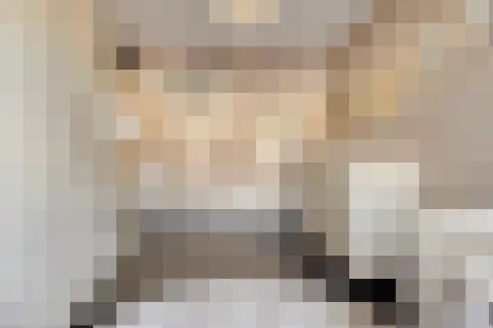 Hugo de Grootstraat 6 Vlaardingen thumbnail 17