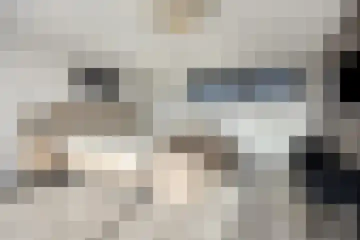 Hugo de Grootstraat 6 Vlaardingen thumbnail 21