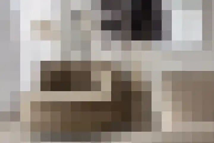 Hugo de Grootstraat 6 Vlaardingen thumbnail 24