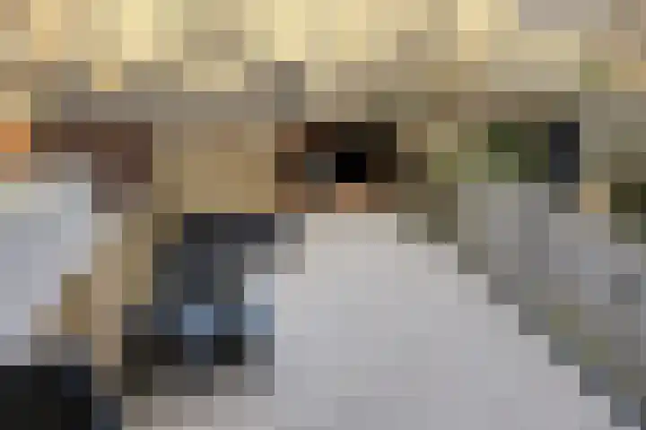 Hugo de Grootstraat 6 Vlaardingen thumbnail 26