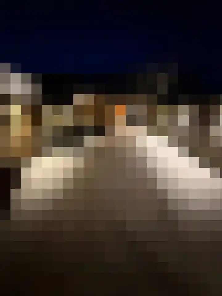 Hugo de Grootstraat 6 Vlaardingen thumbnail 27