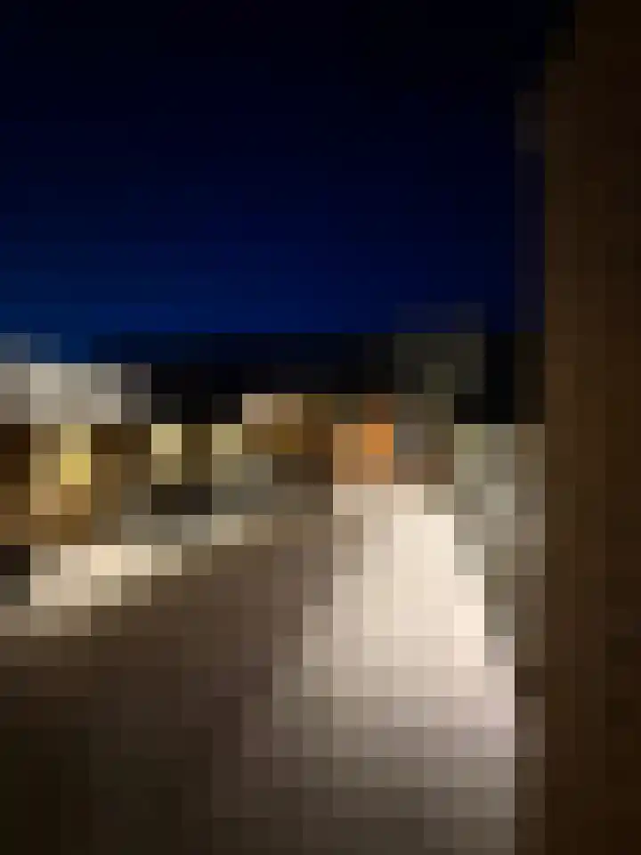 Hugo de Grootstraat 6 Vlaardingen thumbnail 28