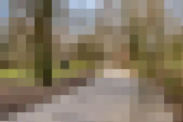 Hugo de Grootstraat 6 Vlaardingen thumbnail 33