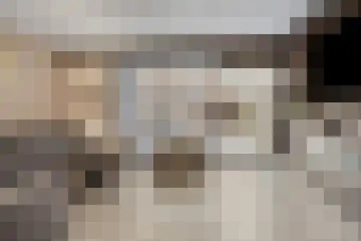 Hugo de Grootstraat 6 Vlaardingen thumbnail 4