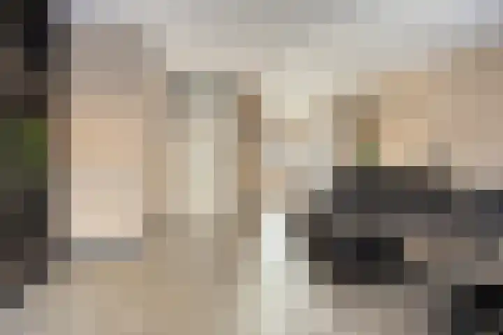 Hugo de Grootstraat 6 Vlaardingen thumbnail 5