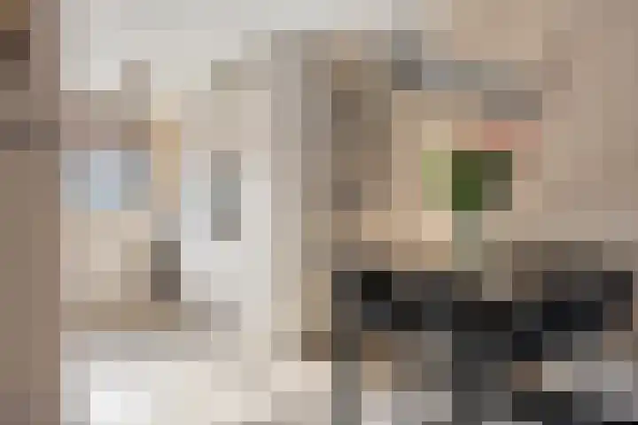 Hugo de Grootstraat 6 Vlaardingen thumbnail 7