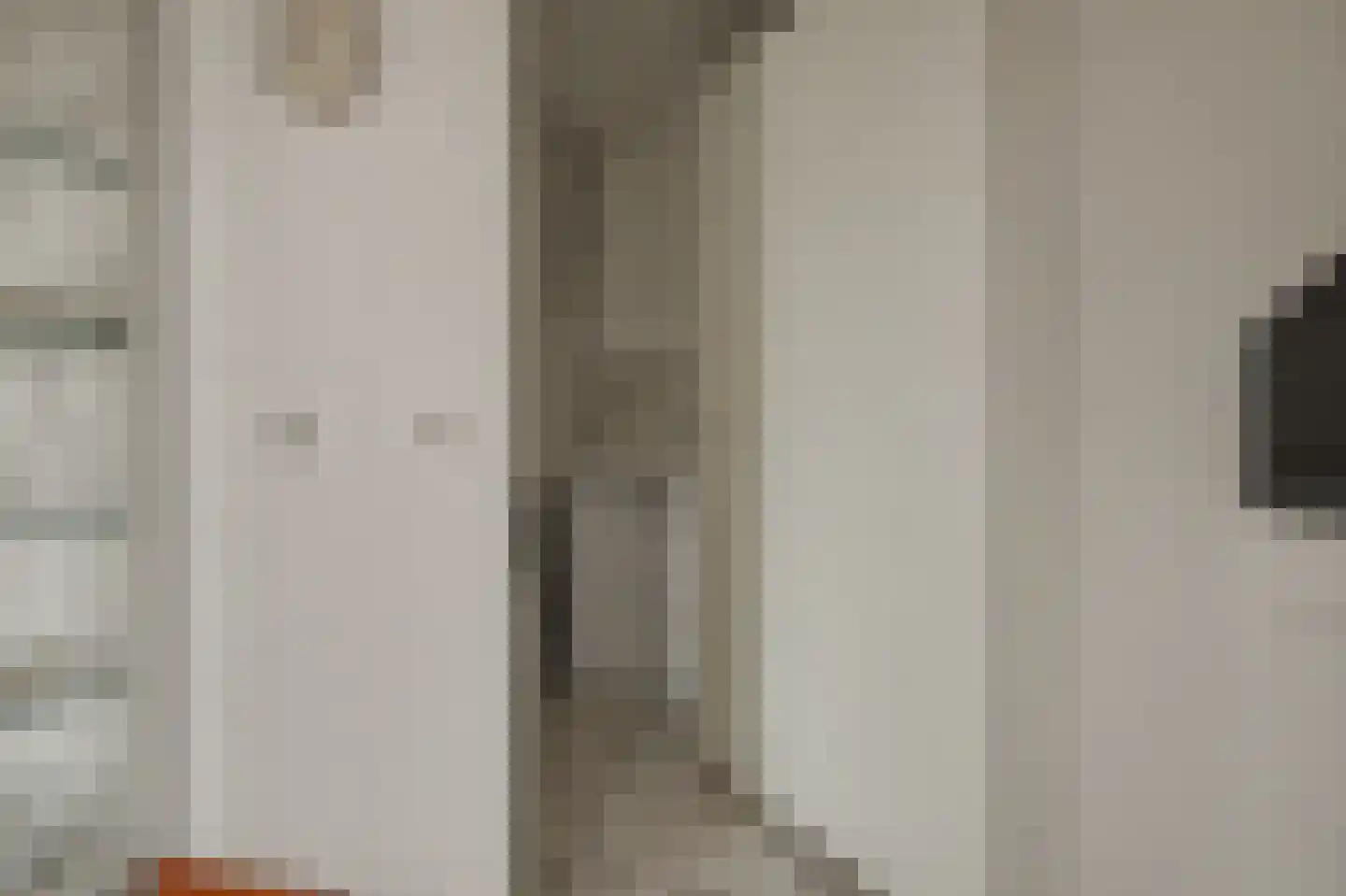 Hugo de Grootstraat 68 Drunen thumbnail 16