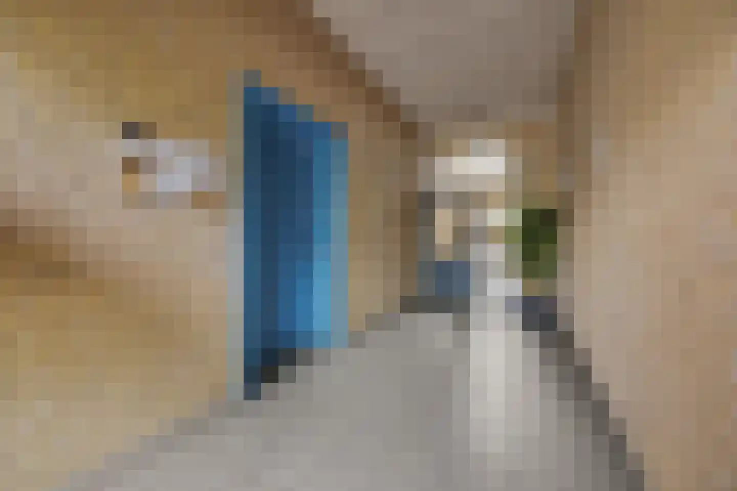 Hugo de Grootstraat 68 Drunen thumbnail 29
