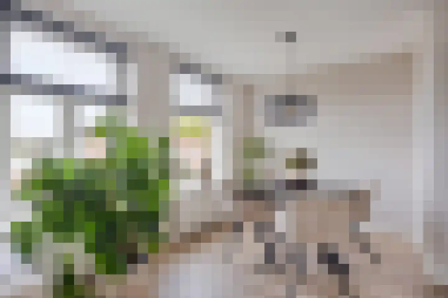 Hugo de Grootstraat 70 A Nijmegen thumbnail 9