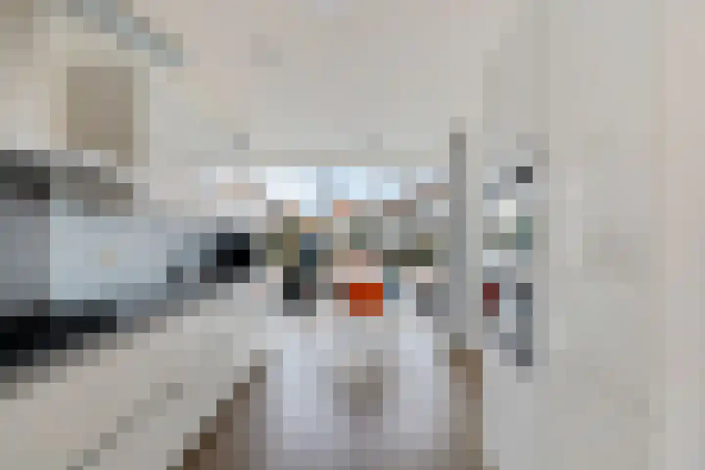 Hugo de Grootstraat 72 Alphen aan den Rijn thumbnail 8