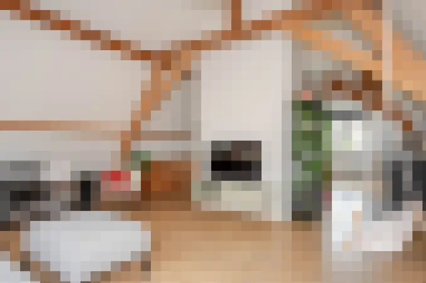 Hugo de Grootstraat 76 A Den Haag thumbnail 34
