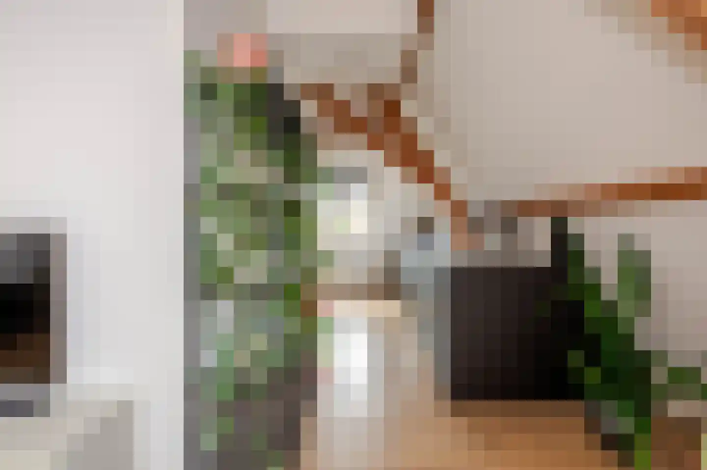 Hugo de Grootstraat 76 A Den Haag thumbnail 35