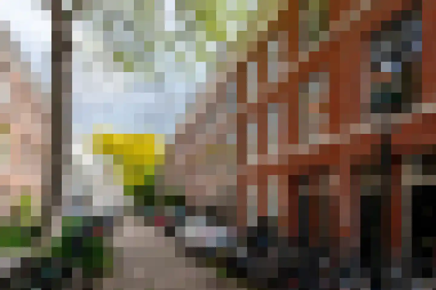 Hugo de Grootstraat 76 A Den Haag thumbnail 52