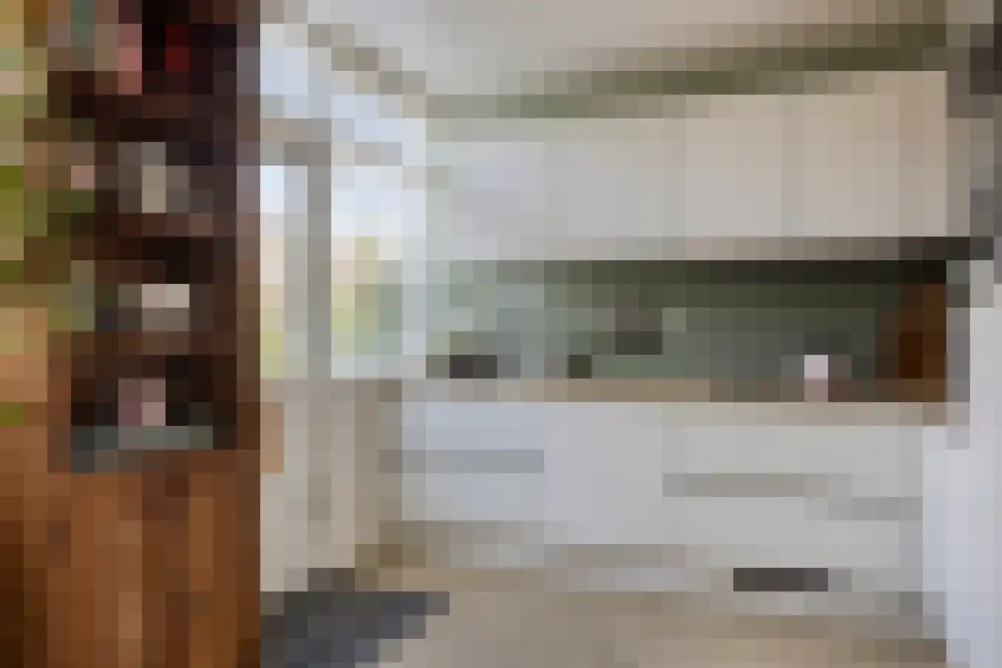 Hugo de Grootstraat 8 Alphen aan den Rijn thumbnail 14