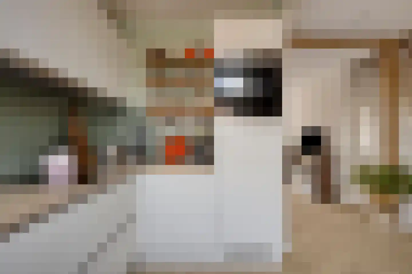 Hugo de Grootstraat 8 Alphen aan den Rijn thumbnail 16