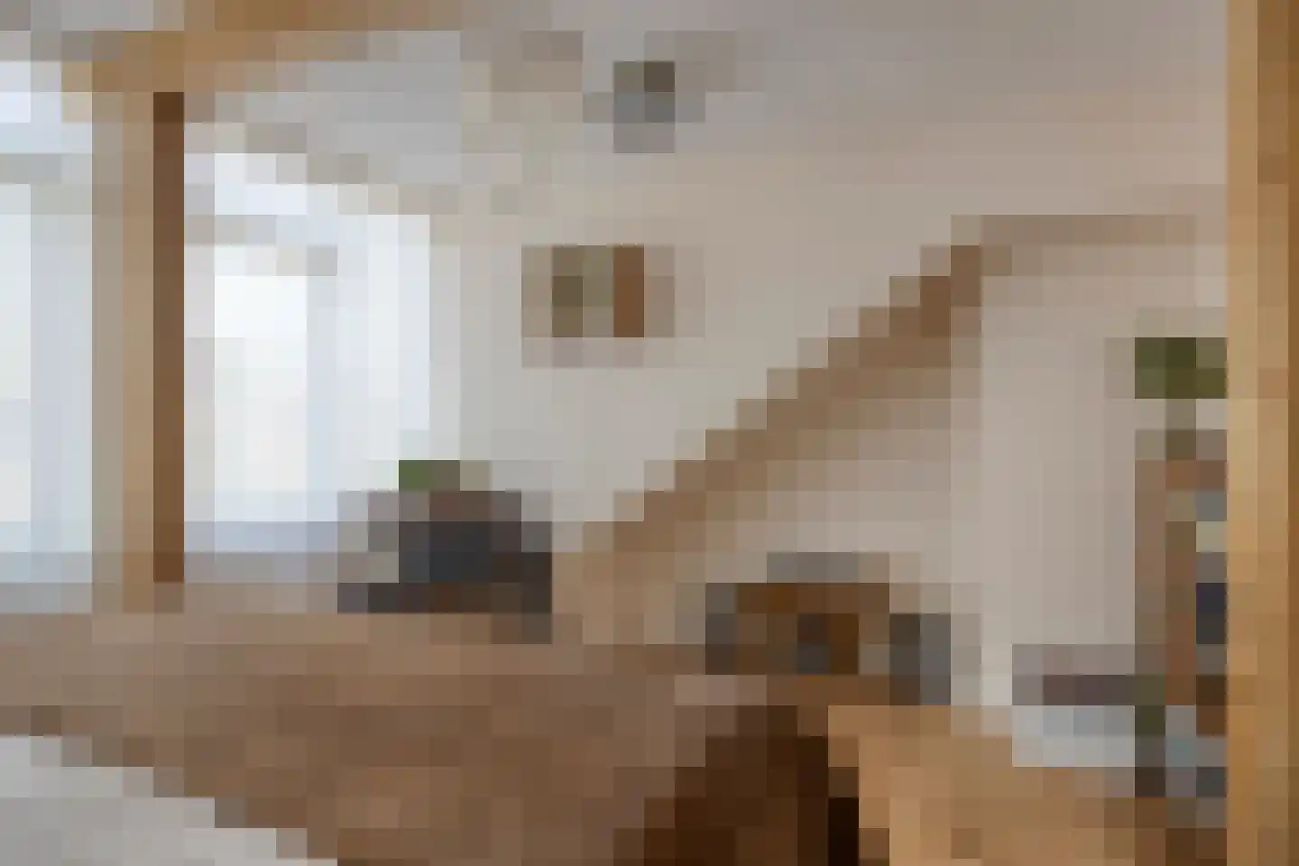 Hugo de Grootstraat 8 Alphen aan den Rijn thumbnail 21