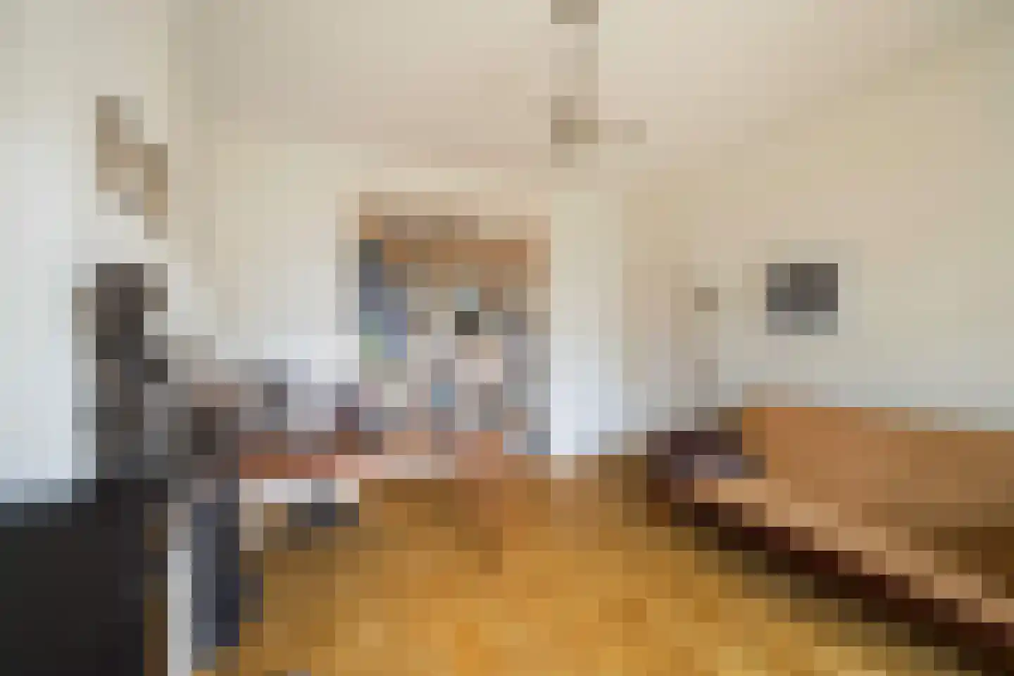 Hugo de Grootstraat 8 BS Utrecht thumbnail 17