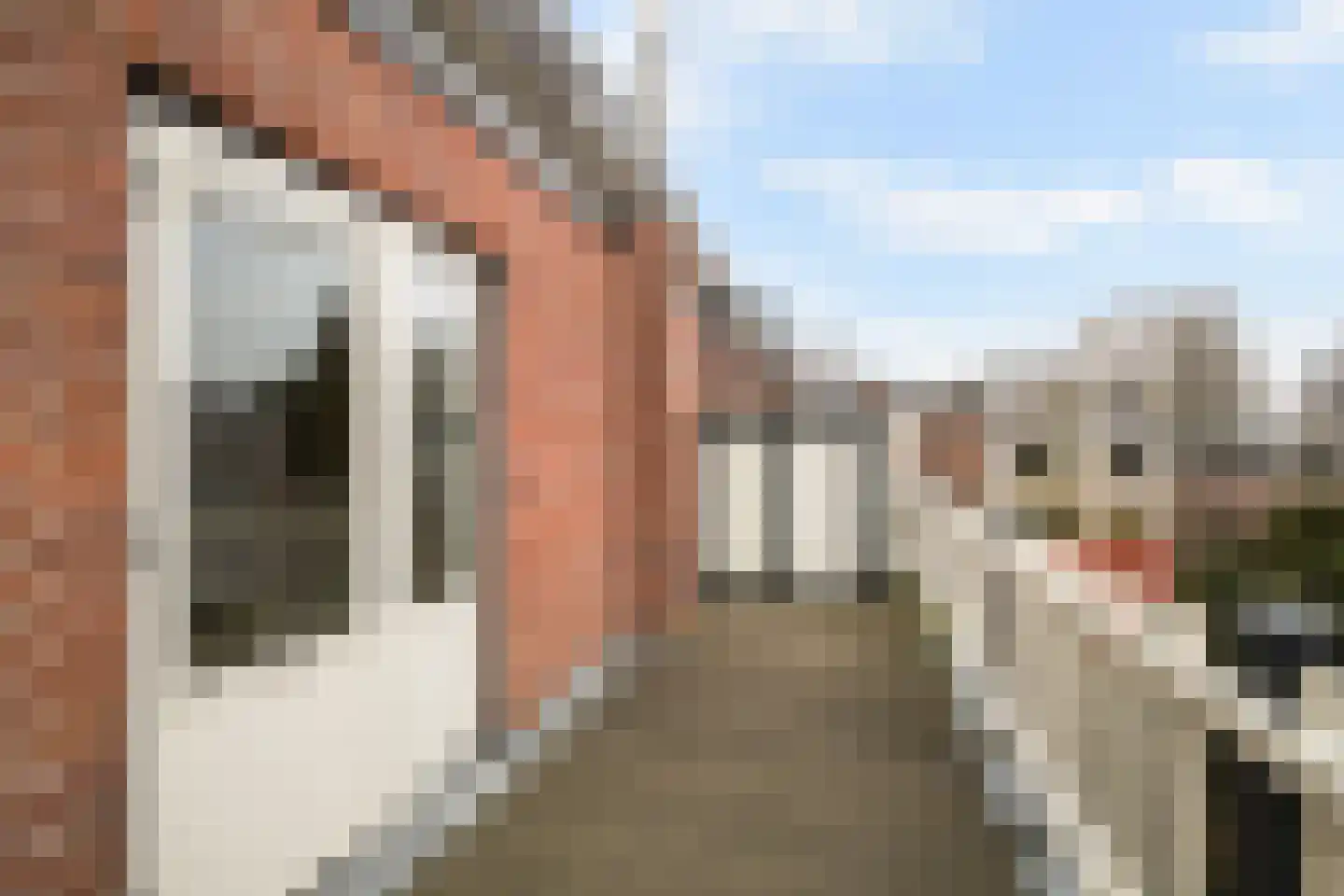 Hugo de Grootstraat 8 BS Utrecht thumbnail 39