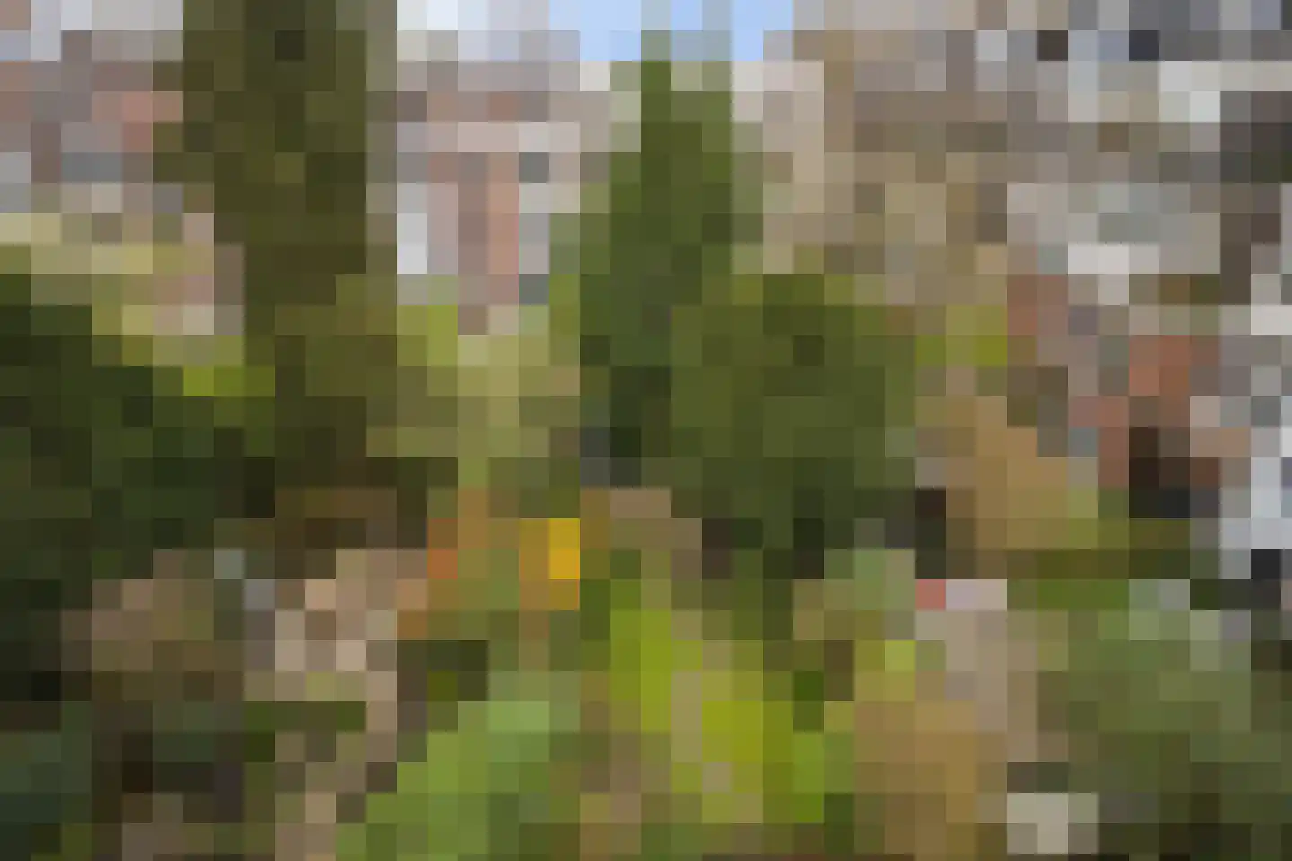 Hugo de Grootstraat 8 BS Utrecht thumbnail 43