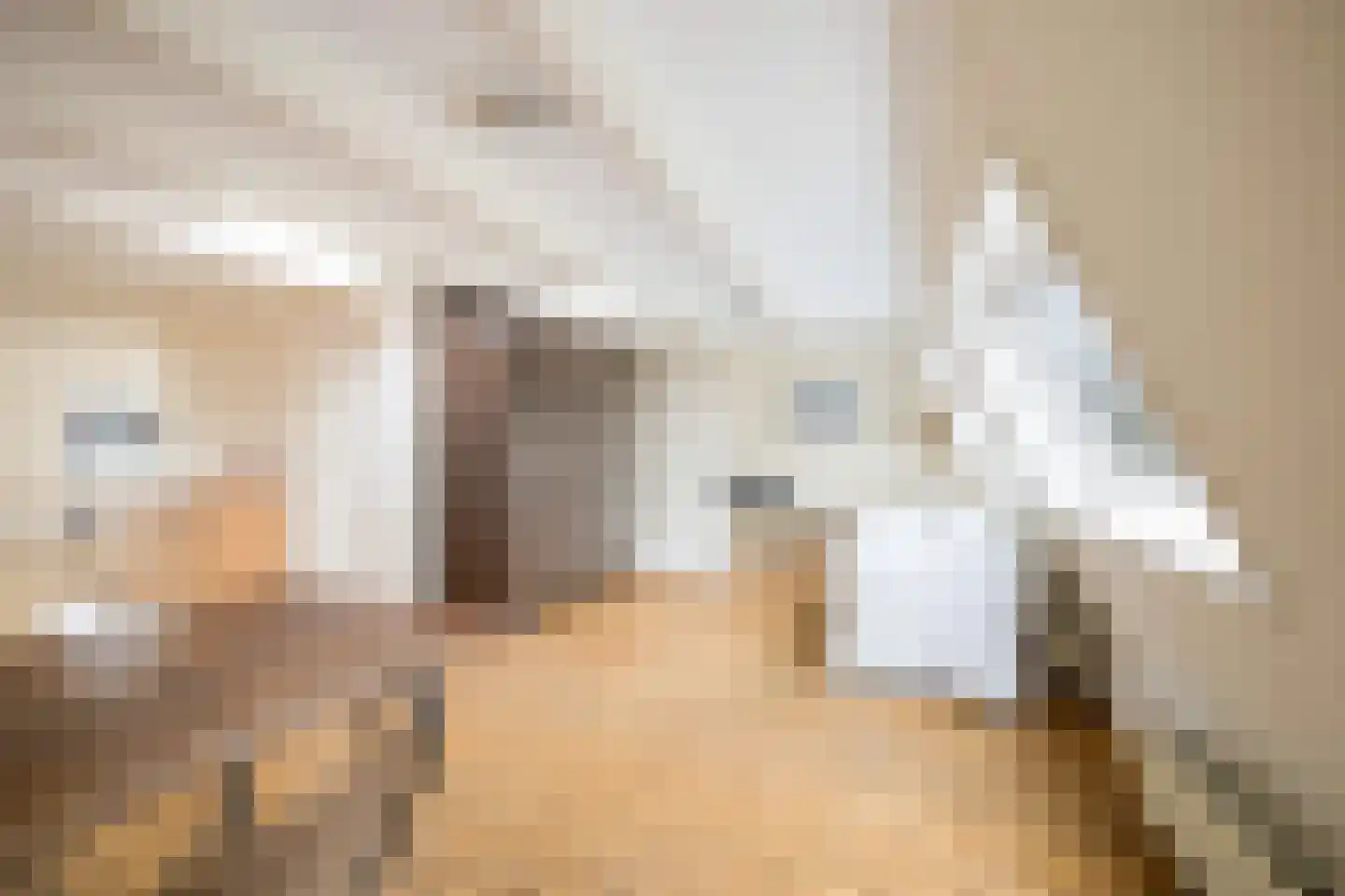 Hugo de Grootstraat 8 BS Utrecht thumbnail 58