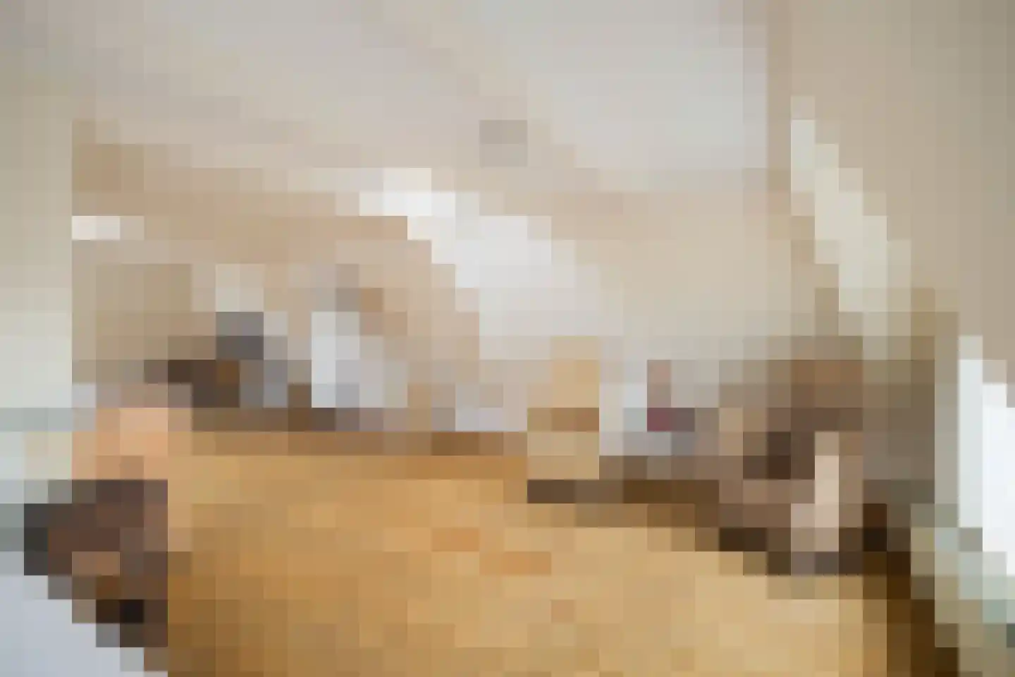 Hugo de Grootstraat 8 BS Utrecht thumbnail 61