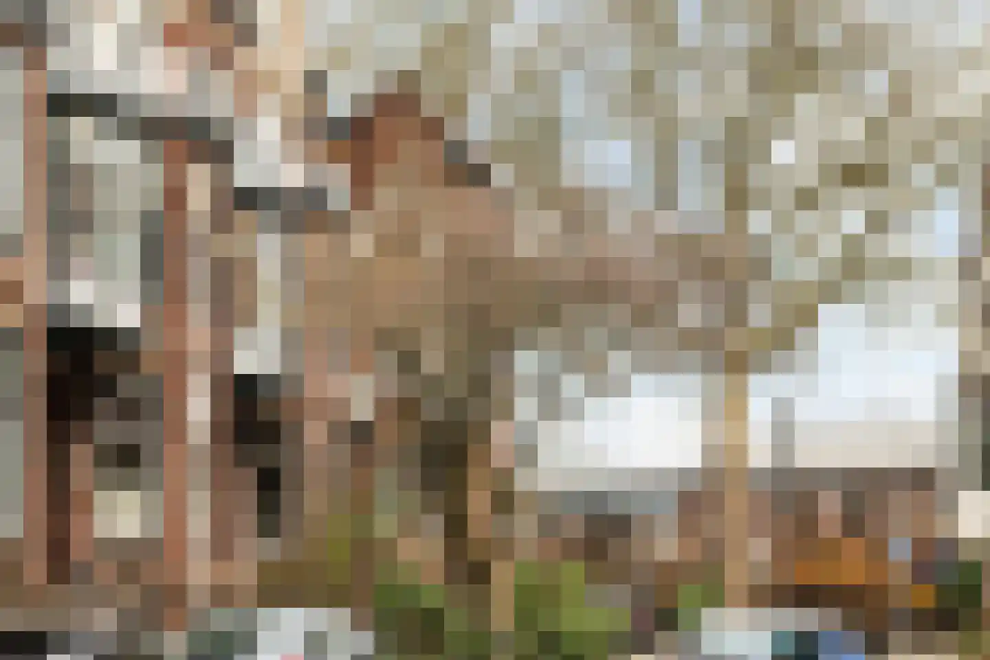 Hugo de Grootstraat 8 BS Utrecht thumbnail 73