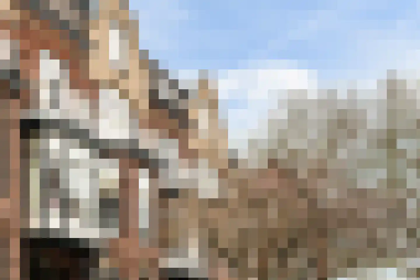 Hugo de Grootstraat 8 BS Utrecht thumbnail 74