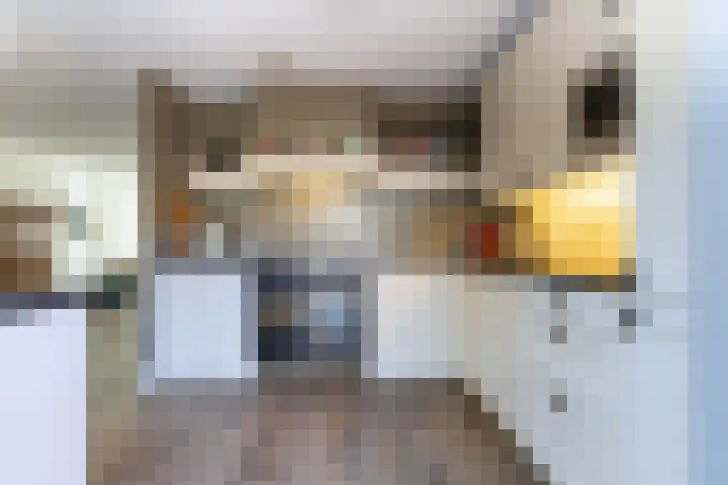 Hugo de Grootstraat 8 Hoogerheide thumbnail 18