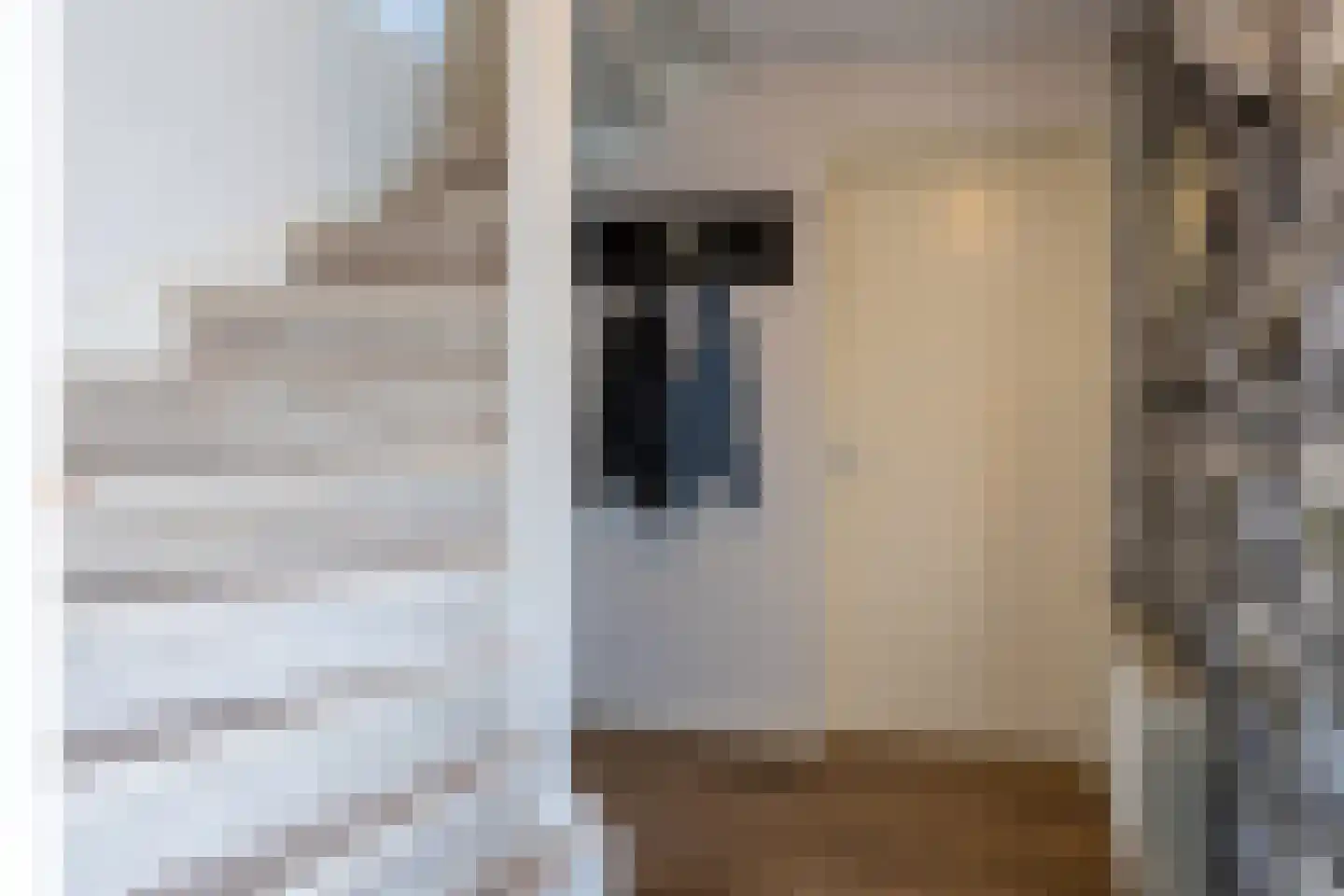 Hugo de Grootstraat 8 Hoogerheide thumbnail 5