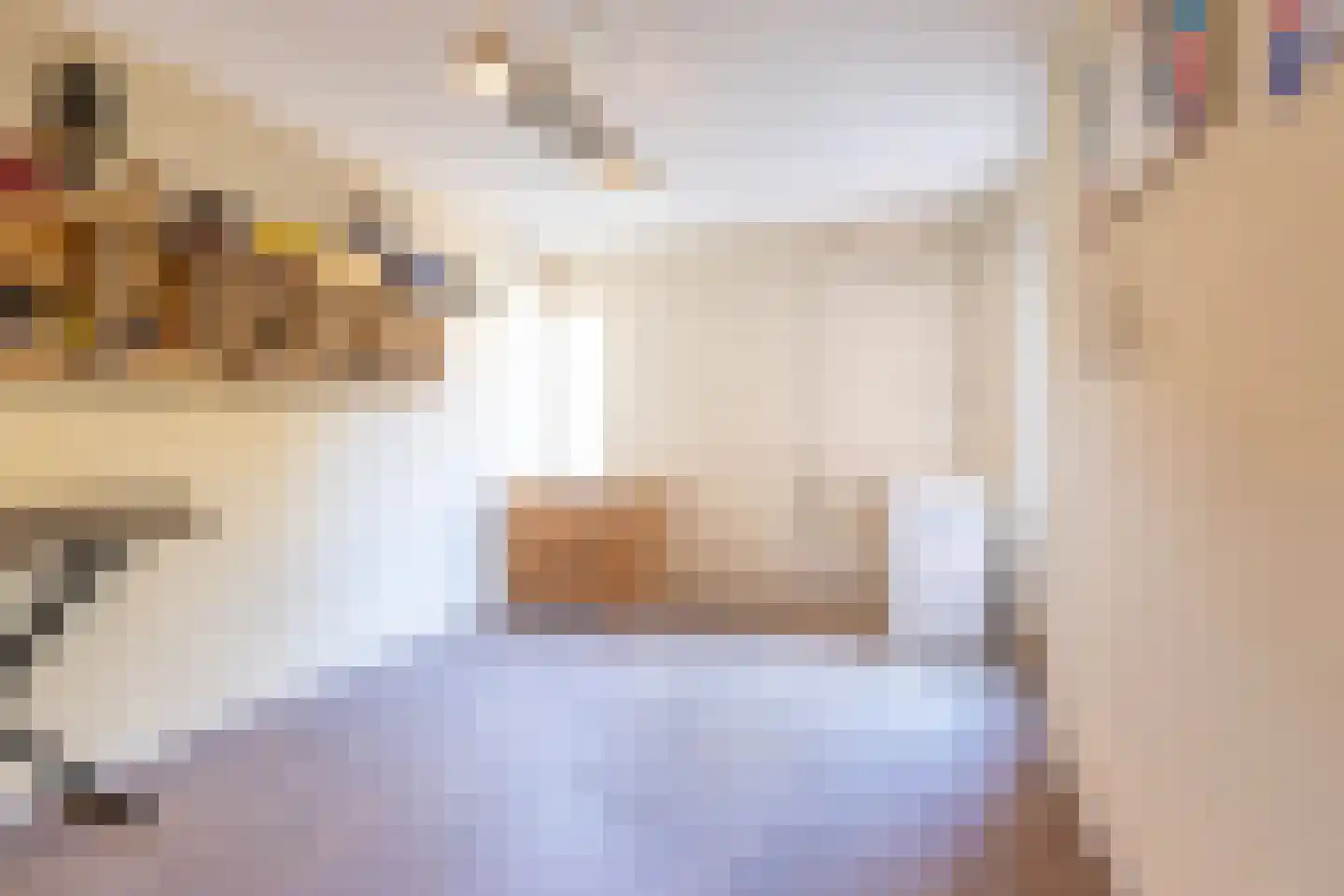 Hugo de Grootstraat 8 Hoogerheide thumbnail 50