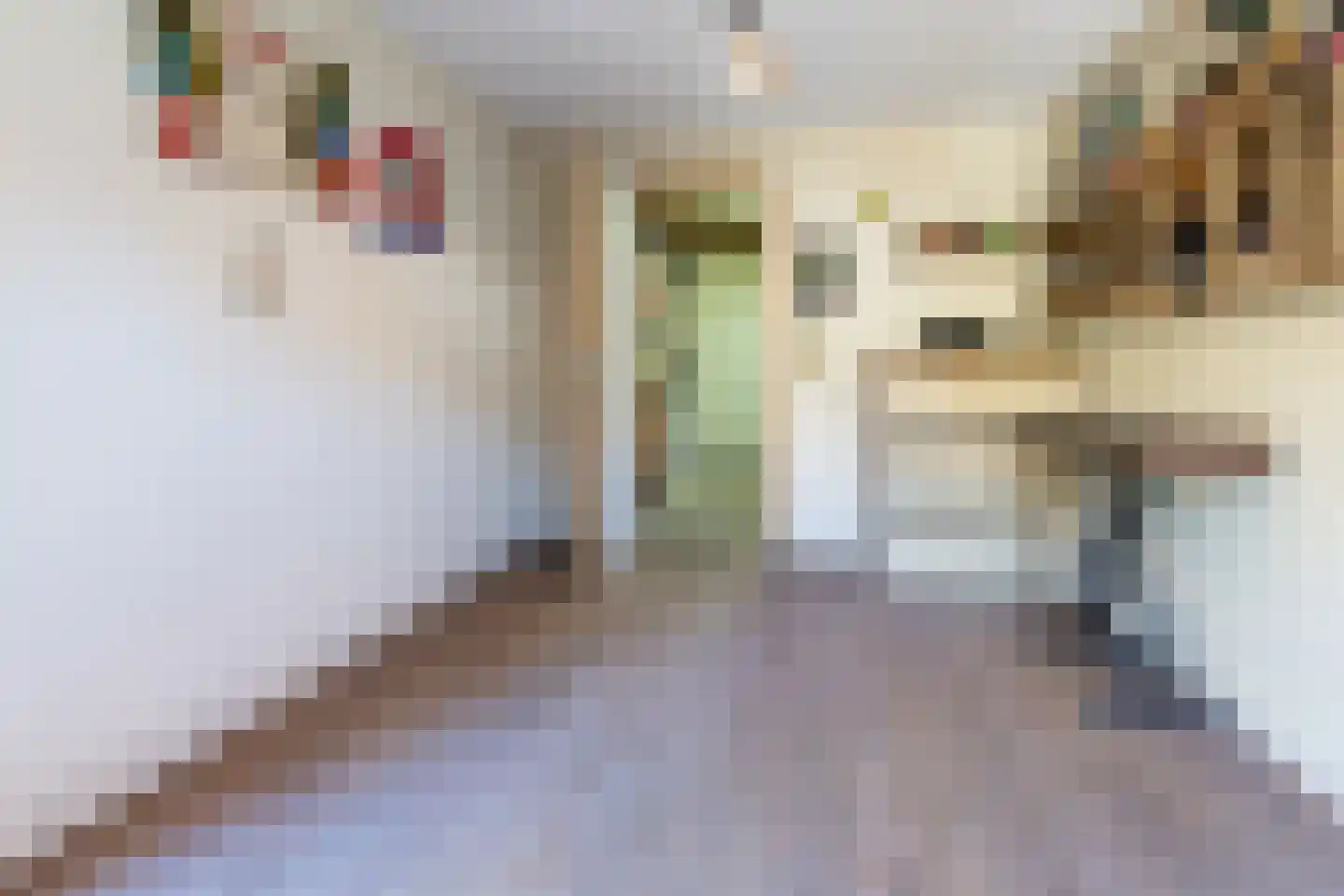 Hugo de Grootstraat 8 Hoogerheide thumbnail 51
