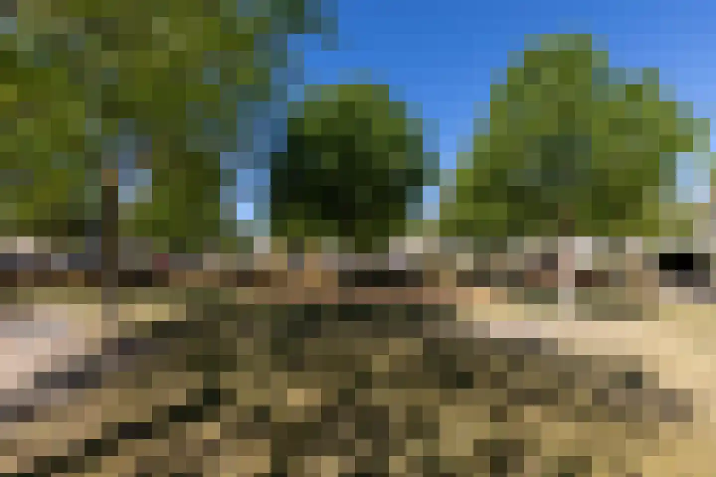 Hugo de Grootstraat 8 Hoogerheide thumbnail 65