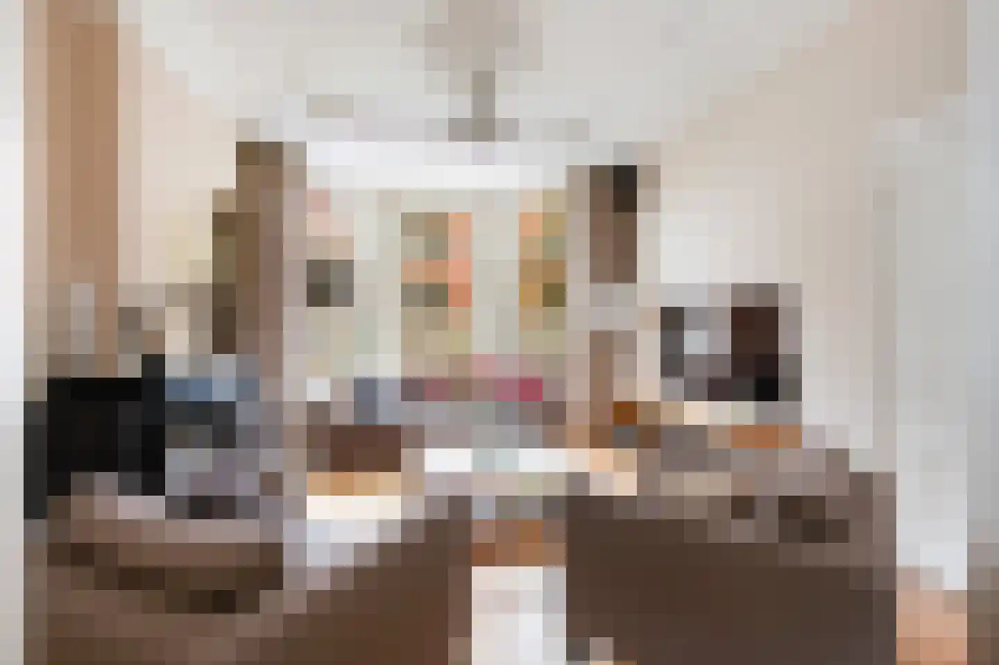 Hugo de Grootstraat 8 Utrecht thumbnail 10