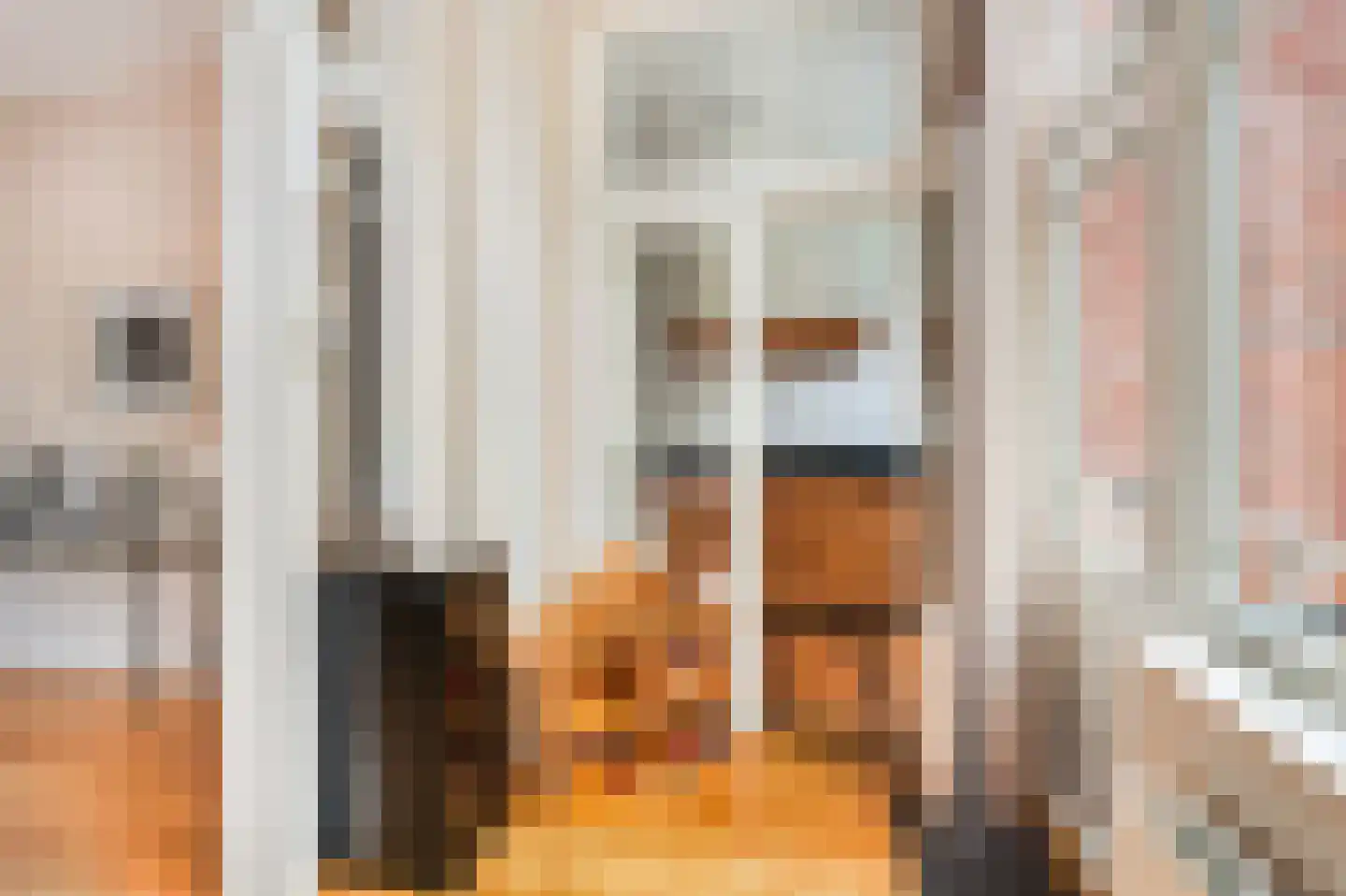 Hugo de Grootstraat 8 Utrecht thumbnail 18