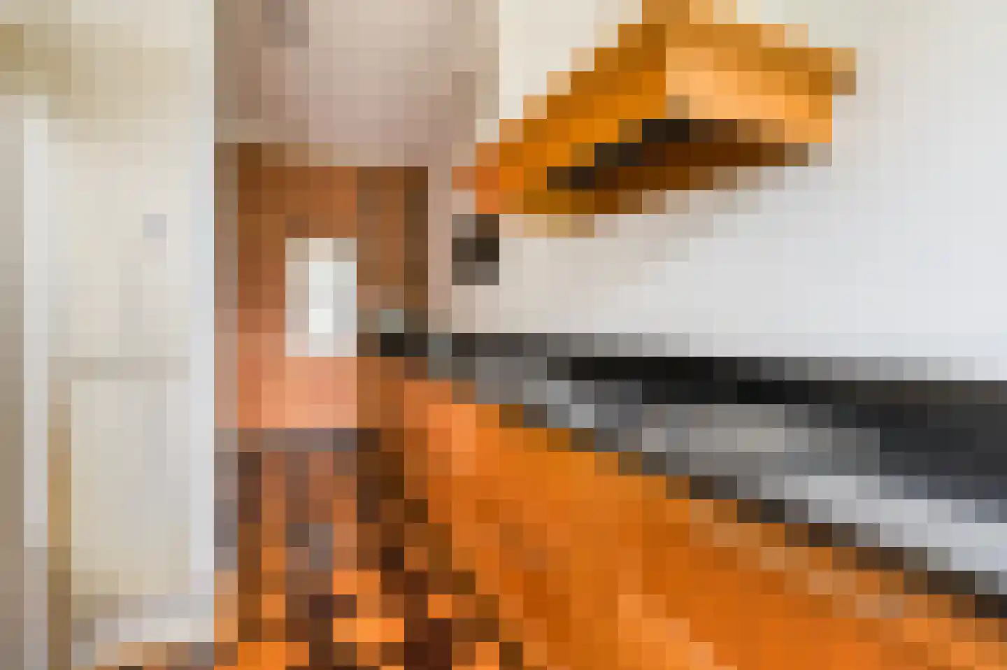 Hugo de Grootstraat 8 Utrecht thumbnail 22