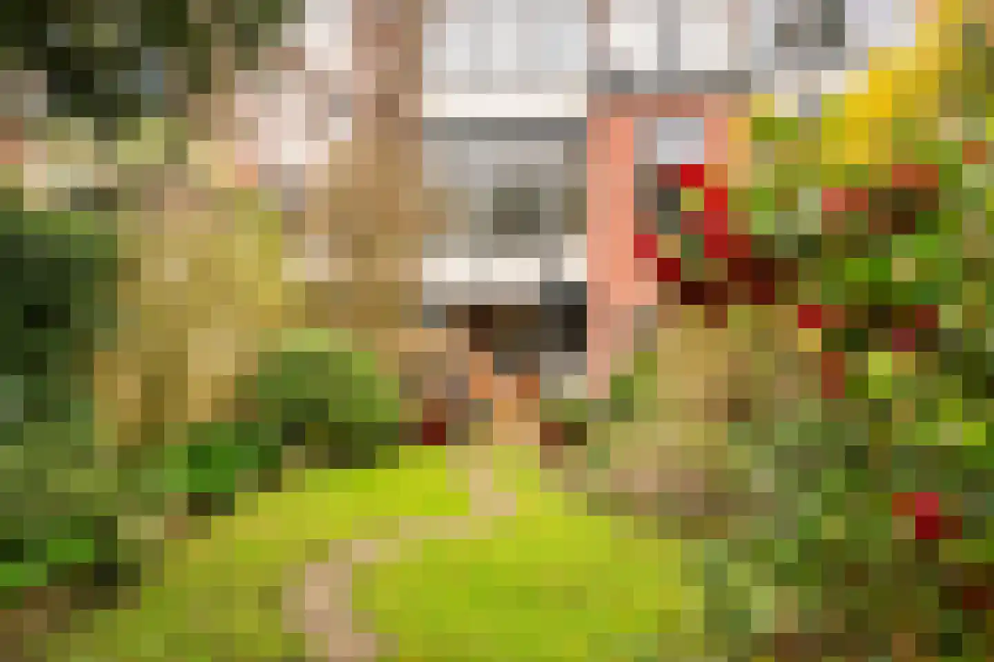 Hugo de Grootstraat 8 Utrecht thumbnail 28