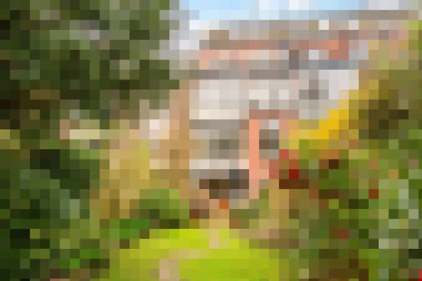 Hugo de Grootstraat 8 Utrecht thumbnail 30