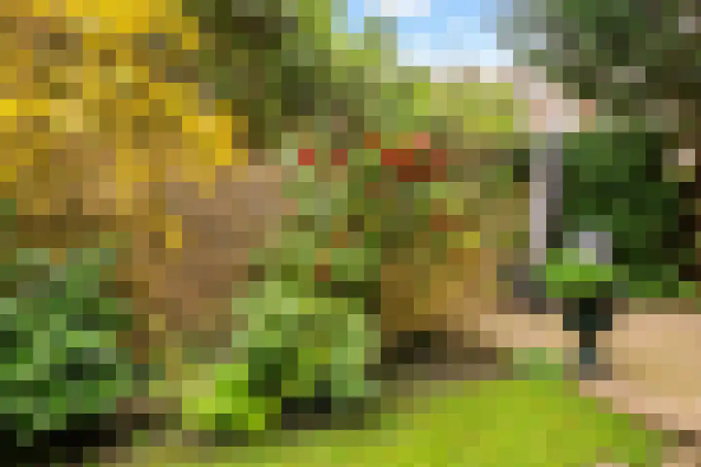 Hugo de Grootstraat 8 Utrecht thumbnail 32
